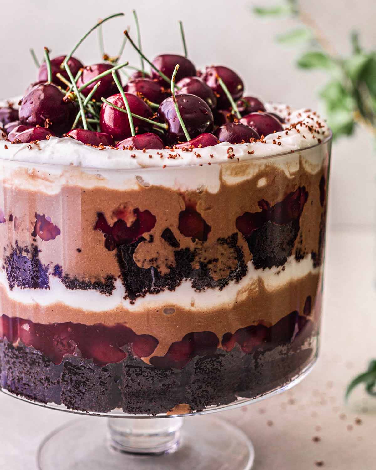 Close up of layers of black forest trifle.