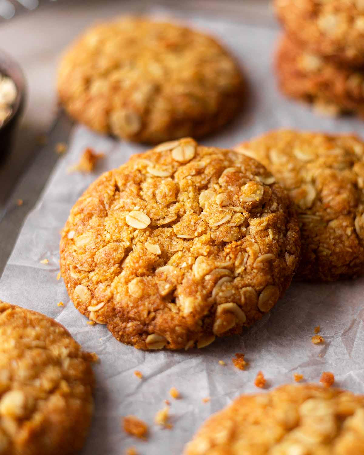 Close up of golden Anzac biscuit with rolled oats on surface.