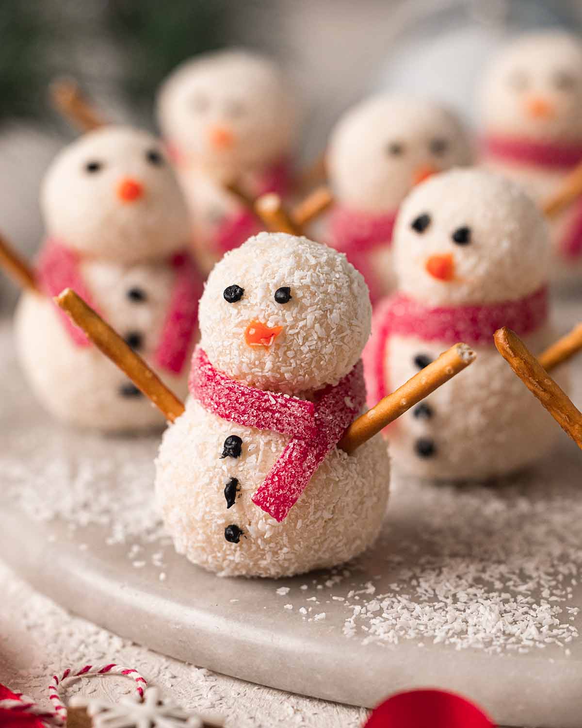 Close up of one coconut snowman.