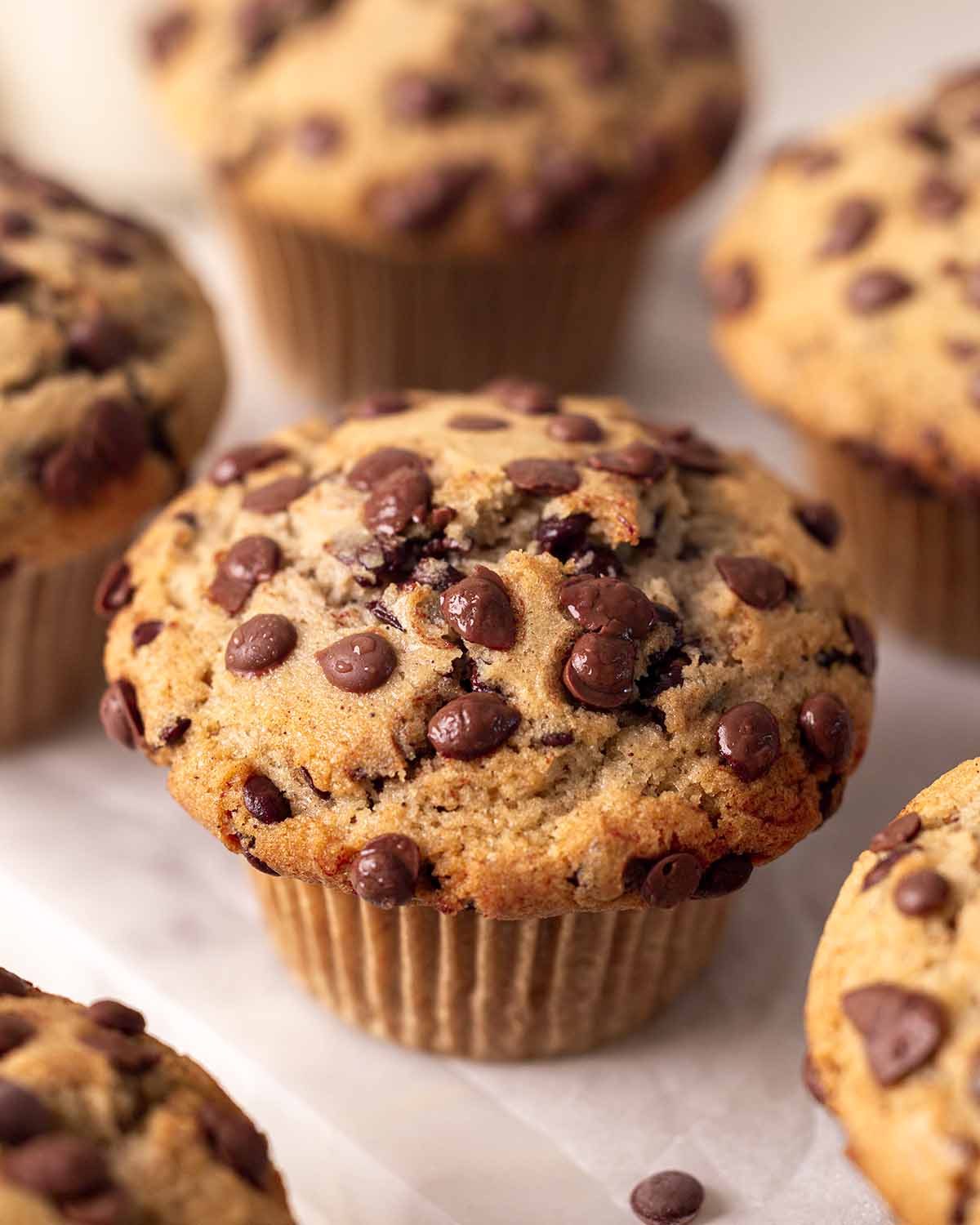 Close up of one muffin focusing on melted chocolate chips.