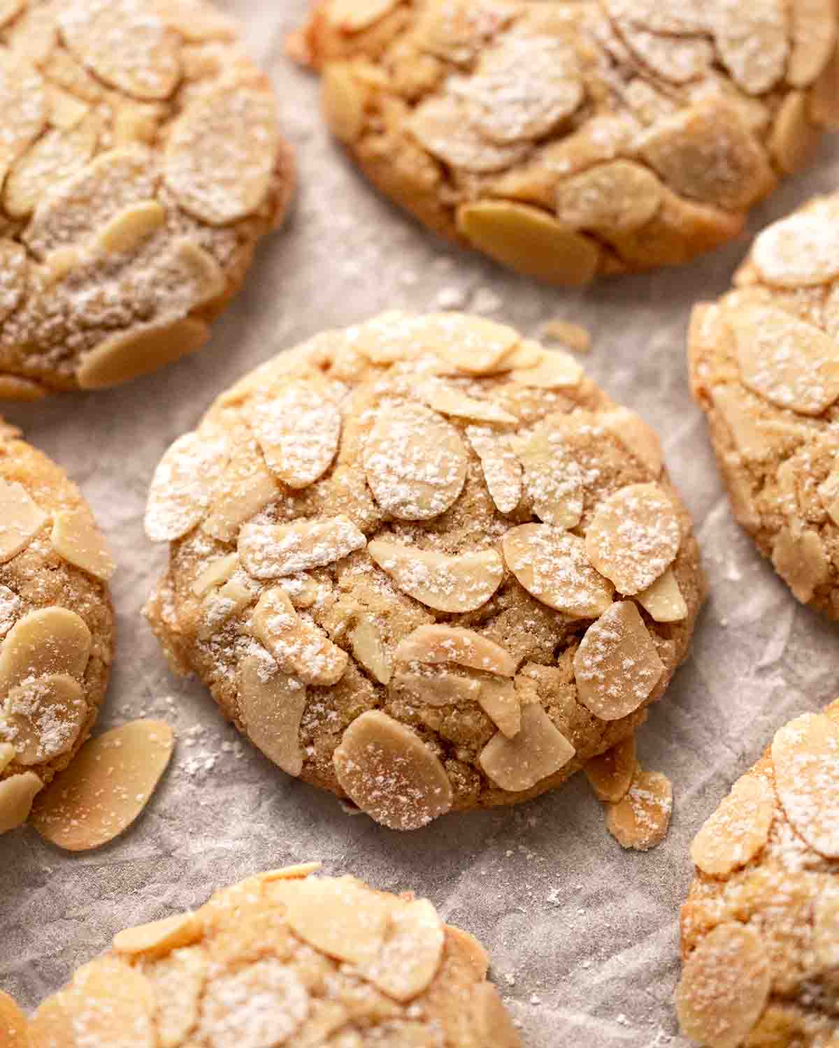 Close up of almond cookies coated with flaked almonds and a light dusting of powdered sugar.