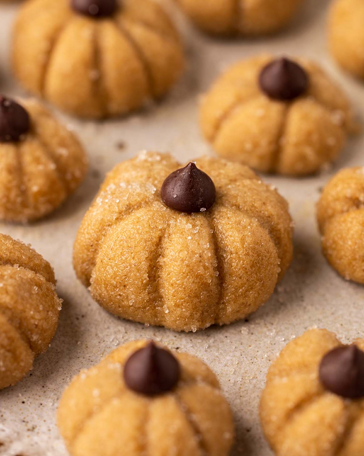 Close up of light brown biscoff pumpkin that is large enough to be a cake topper.