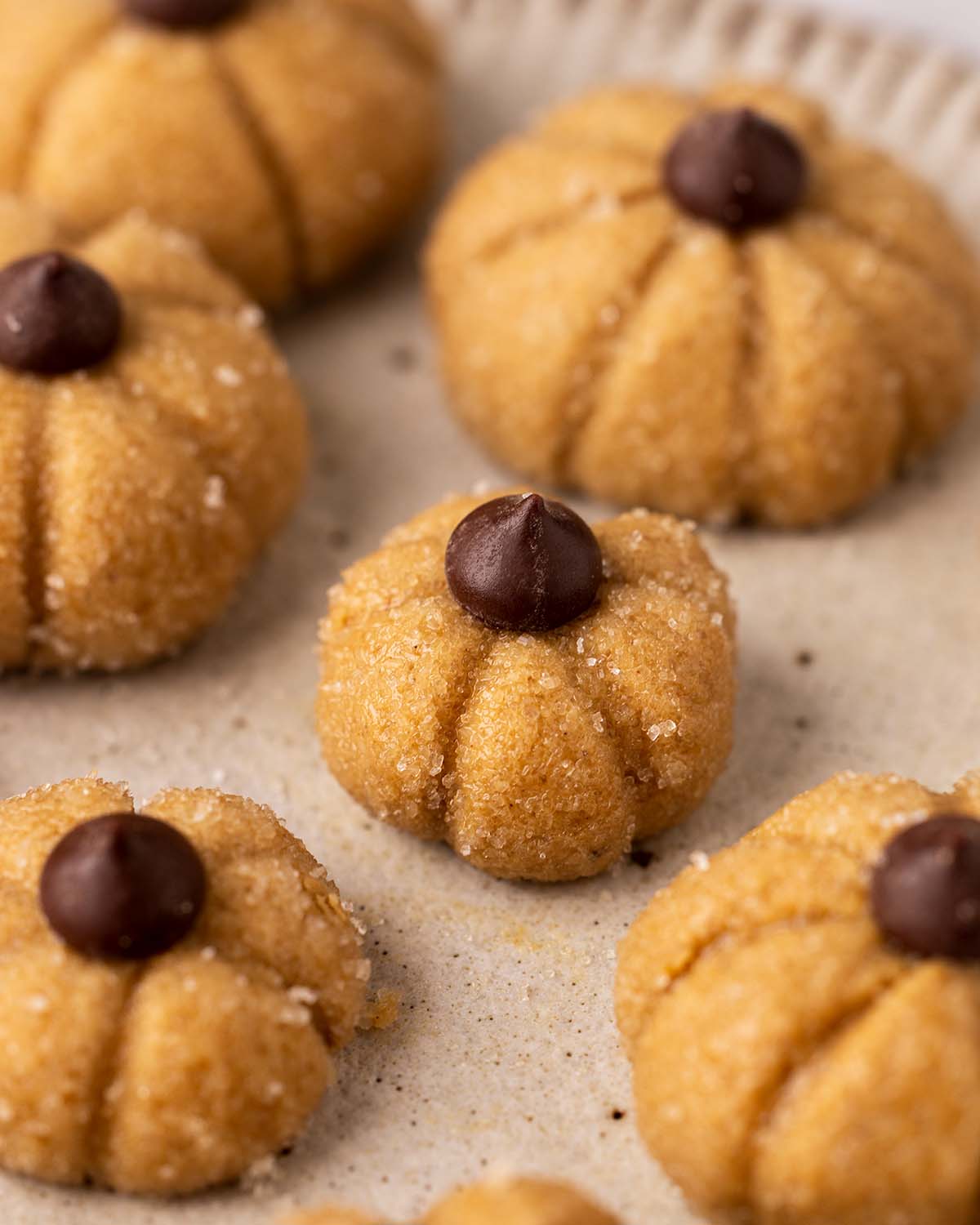 Close up of mini biscoff pumpkin cupcake topper.