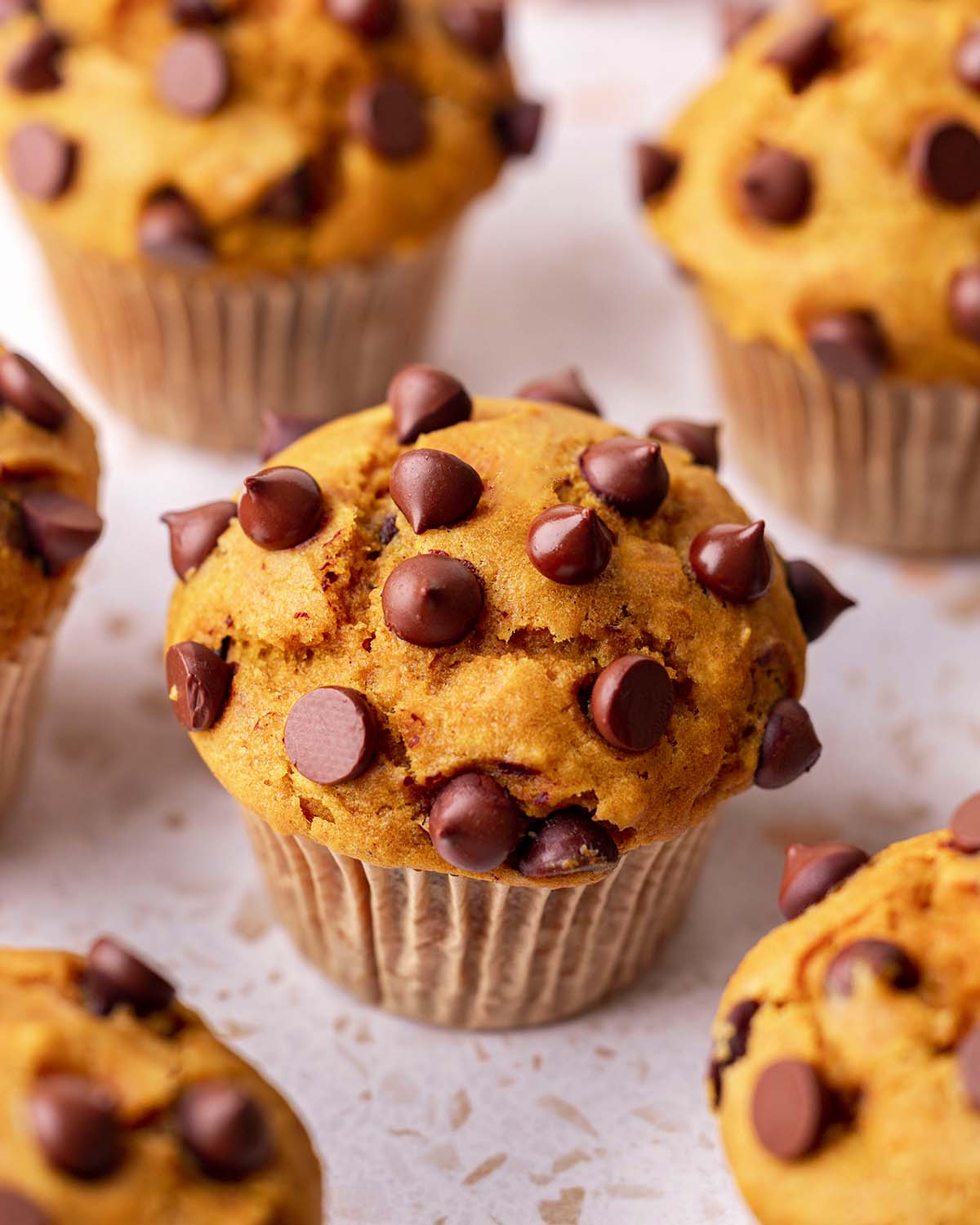 Close up of one pumpkin chocolate chip muffin.