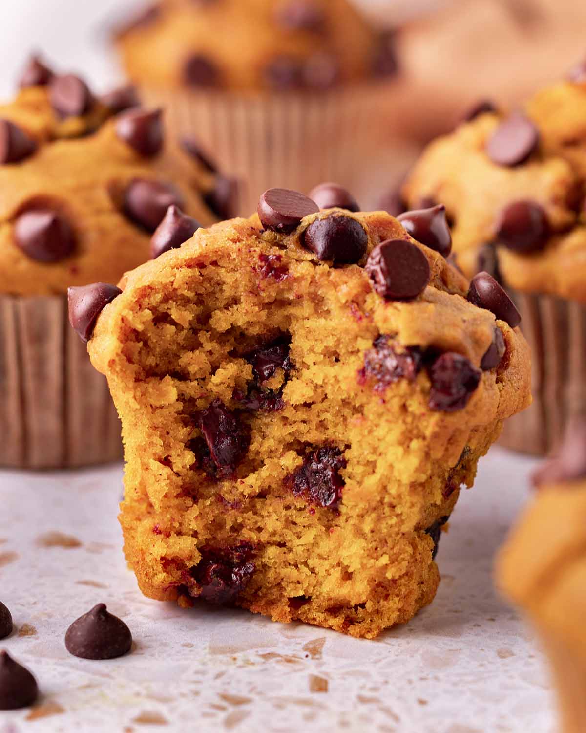 Close up of pumpkin muffin with a bite taken out showing fluffy golden texture and gooey chocolate chips.