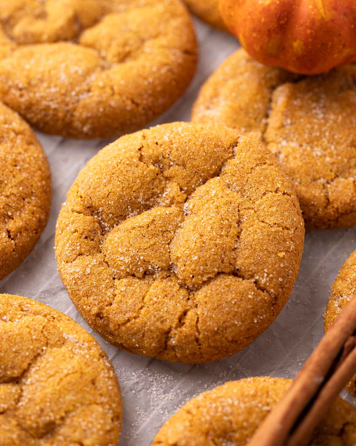 Introduction to Pumpkin Cookies Introduction to Pumpkin Cookies