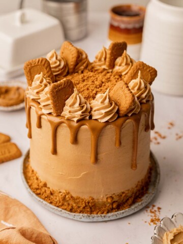 Tall vegan biscoff cake decorated with a biscoff buttercream frosting, biscoff drip and cookie crumbs.
