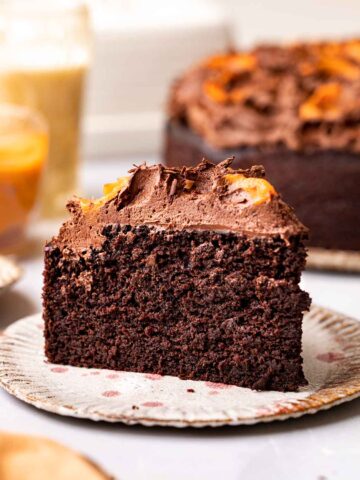 Close up of one slice of cake showing the dense and moist crumb of the cake.