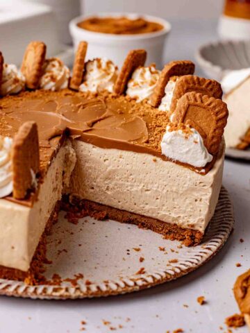 Close up of creamy texture of Biscoff cheesecake.