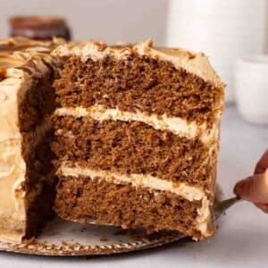 Close up of one slice of the espresso cake.